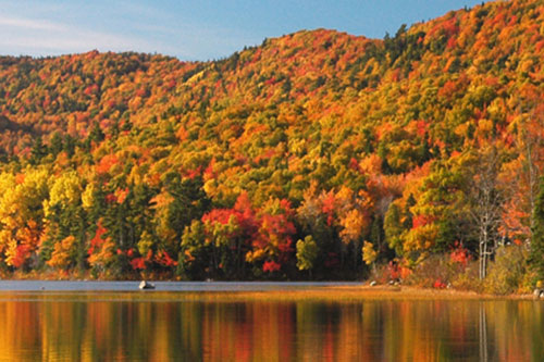 Guided Hike at Warren Lake