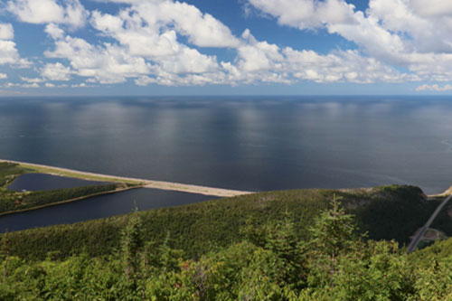 Guided Hike on the Acadian Trail