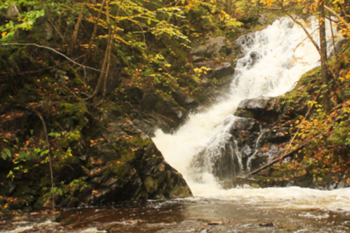 Guided Hike in the National Park: MacIntosh Brook